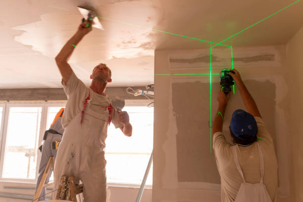 Best Residential Mold Inspection & Testing  in USA